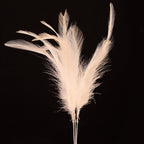 Men Off White Feather For Kalangi Brooch For Safa Turban Groom Wedding